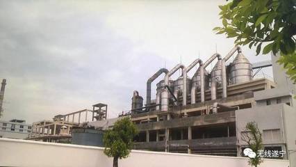 鹽中精華，卓筒晶品 品牌商標申請的戰(zhàn)略之路